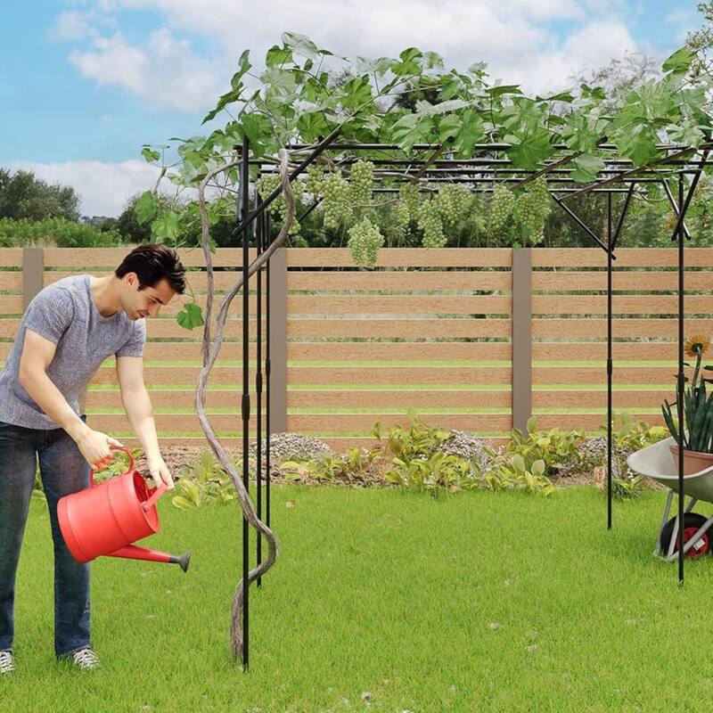 Outdoor Flattop Garden Arch Arbor Trellis for Climbing Plants