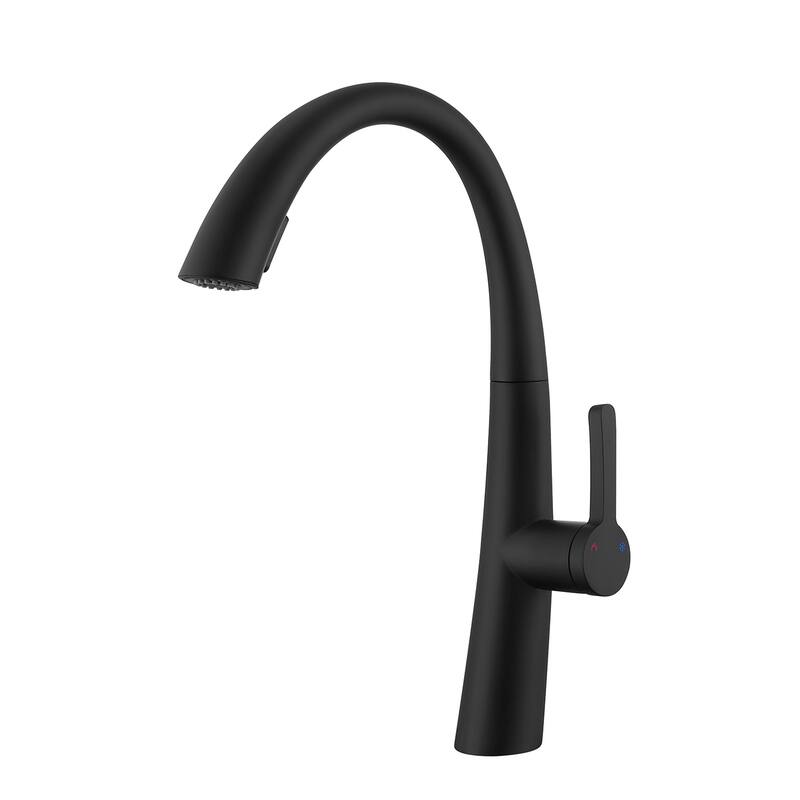 Topcraft Stainless Steel Single Handle Pull-Out Kitchen Faucet - Matte Black