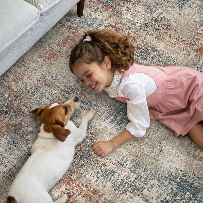 Mcow Low Pile Machine Washable Non-Slip Area Rug