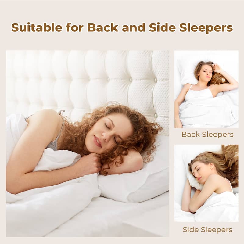 Set of 2 Goose Down Feather Oval Gusset Bed Pillows with 100% Cotton Cover - White