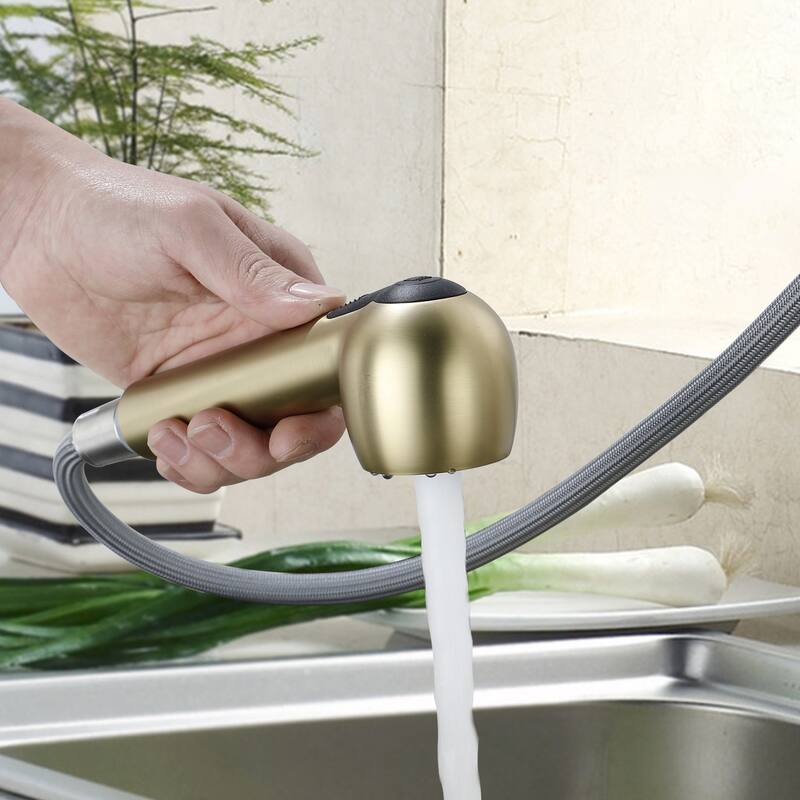 Topcraft Kitchen Faucets with Pull Down & Pull Out Sprayer