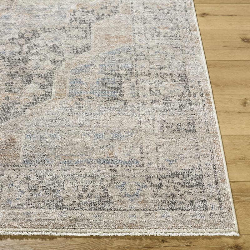 Galey Alix x Livabliss Maria Elena IV Vintage Medallion Area Rug