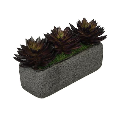 Faux Pointed Echeveria Garden in Black Sandy-Texture Ceramic Vase