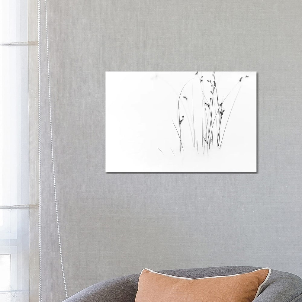 iCanvas "Black On White" by Dusan Ljubicic Canvas Print
