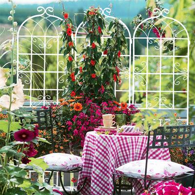 2 Pack Garden Trellis for Climbing Plants Outdoor