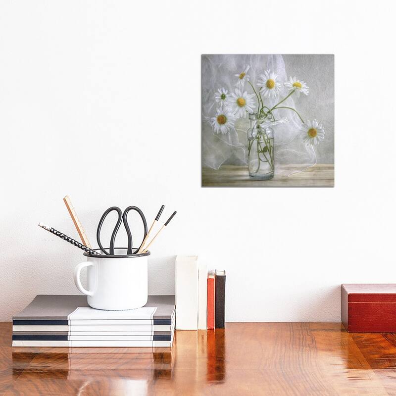 iCanvas "Daisies" by Mandy Disher Canvas Print - 12x12x0.75