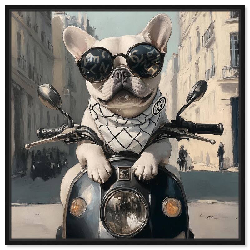Frenchie on a Scooter Drive Canvas by Art Remedy - Black - 30" x 30"