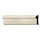 Option Poplar