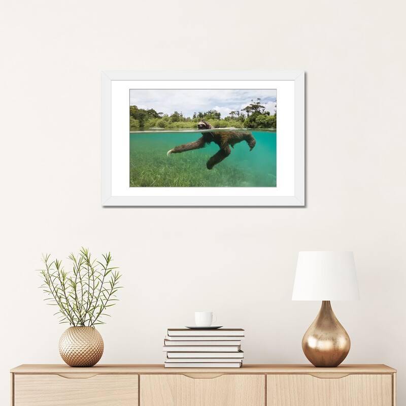 iCanvas "Pygmy Three-Toed Sloth Swimming In Mangrove Forest, Isla Escudo De Veraguas, Panama" by Suzi Eszterhas