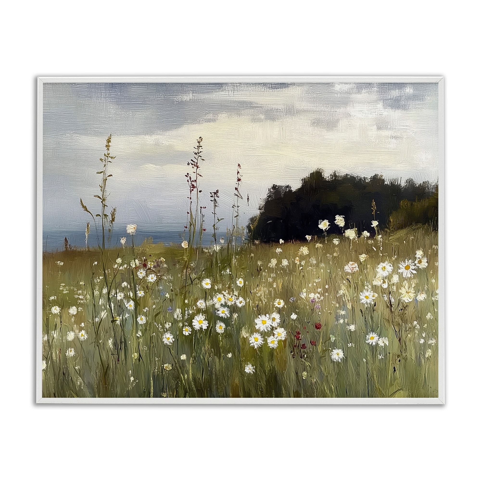 Stupell Seaside Daisy Meadow Framed Giclee Art Design By Annabelle Hall