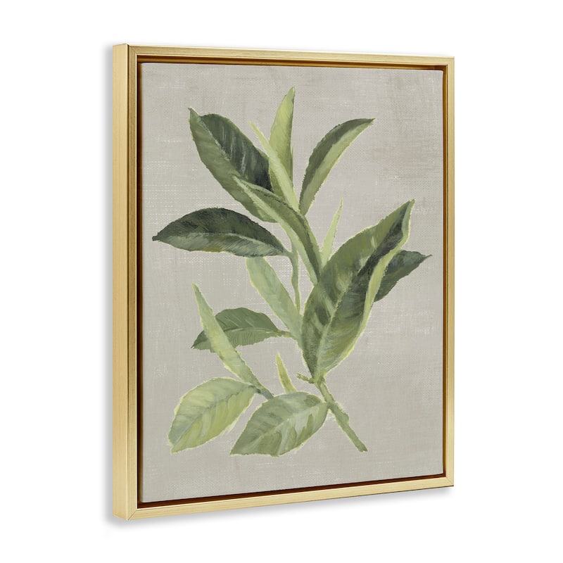 Stupell Green Tea Plant Leaf Framed Floater Canvas Wall Art Design By Lanie Loreth