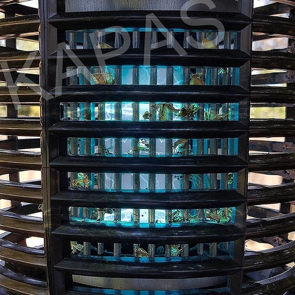 Kapas sales bug zapper