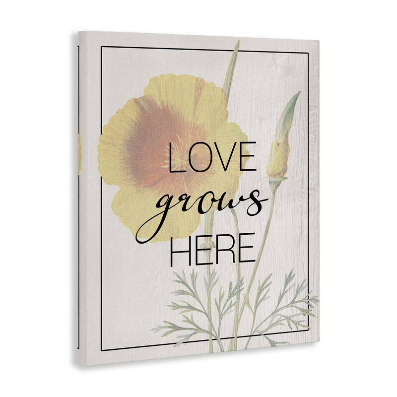 Stupell Vintage Love Grows Here Canvas Wall Art Design By Lil' Rue