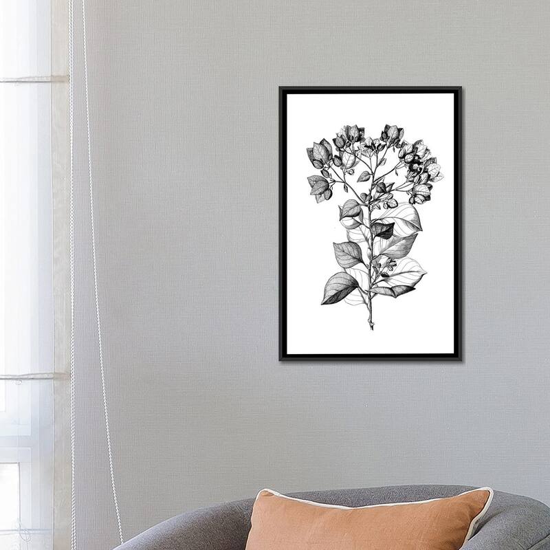 iCanvas "Botanical Black And White I" by Kelly Donovan Framed