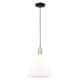 Option Matte White / Black Antique Brass