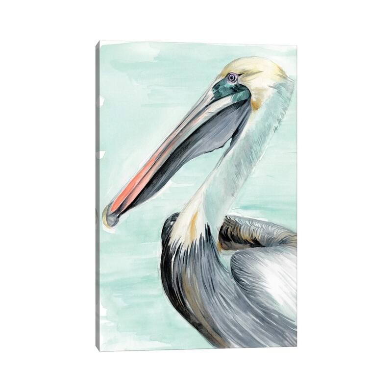 iCanvas "Turquoise Pelican II" by Jennifer Paxton Parker Canvas Print