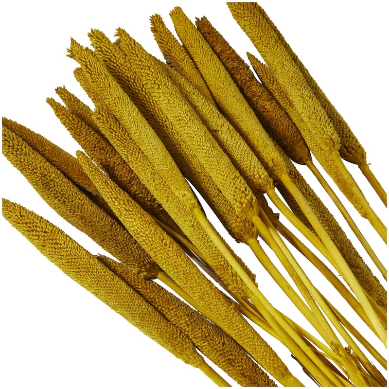 Dried Plant Bunny Tail Home Decor Natural Foliage - White, Red, Dark Brown, Orange, Green, Pink, Yellow - Roche River Decor