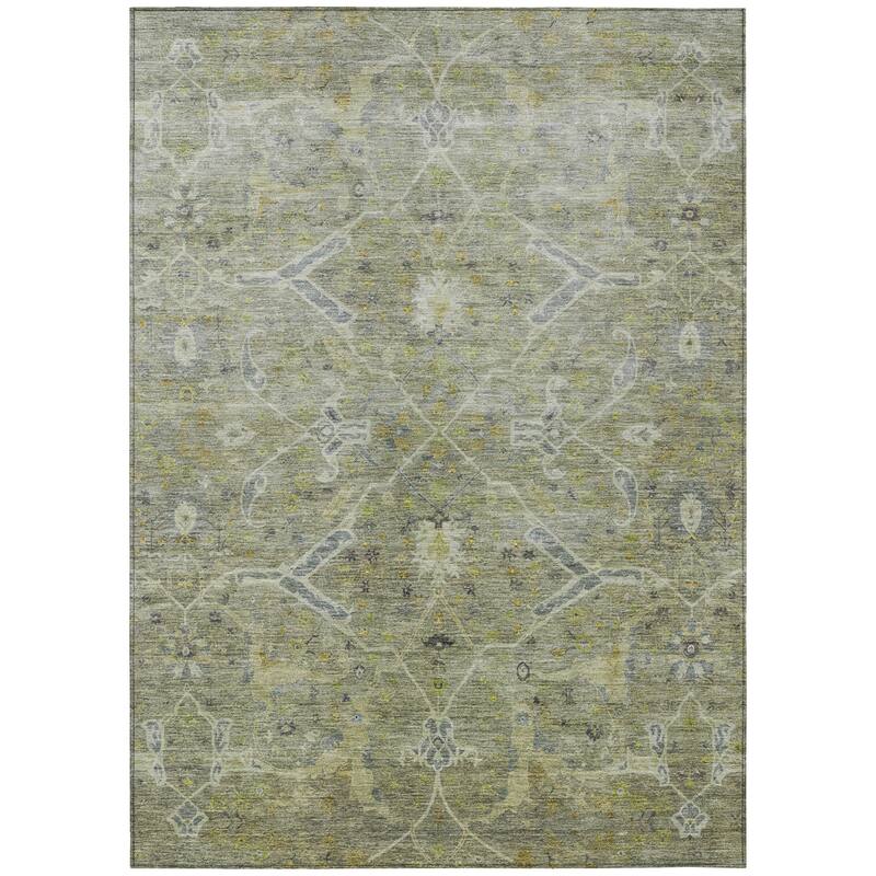 Machine Washable Indoor/ Outdoor Vintage Traditional Chantille Rug