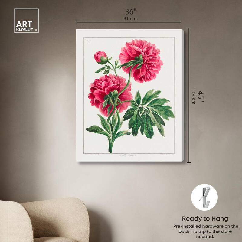 Double Peony (1789) Canvas by Art Remedy, Gallery Wrapped