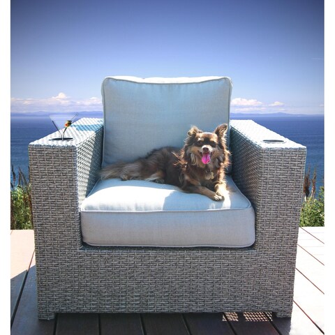 LSI Chair with Cushions