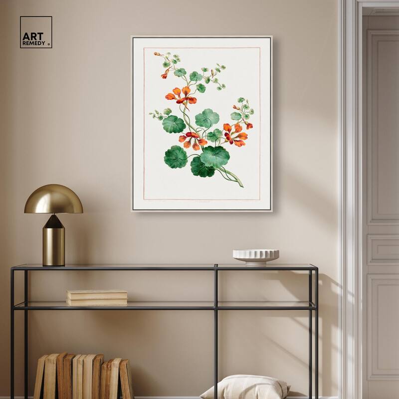 Nasturtium (1788) Canvas by Art Remedy
