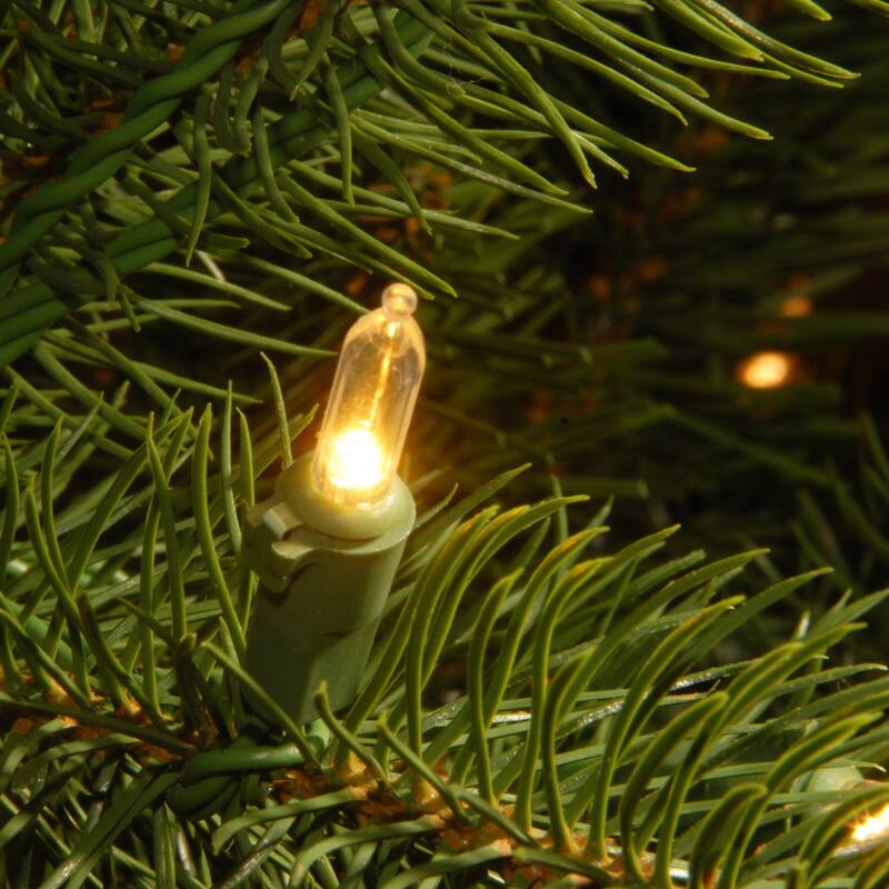 National Tree Company 6 ft. Downswept Douglas Fir Tree with Clear Lights - 6 Foot