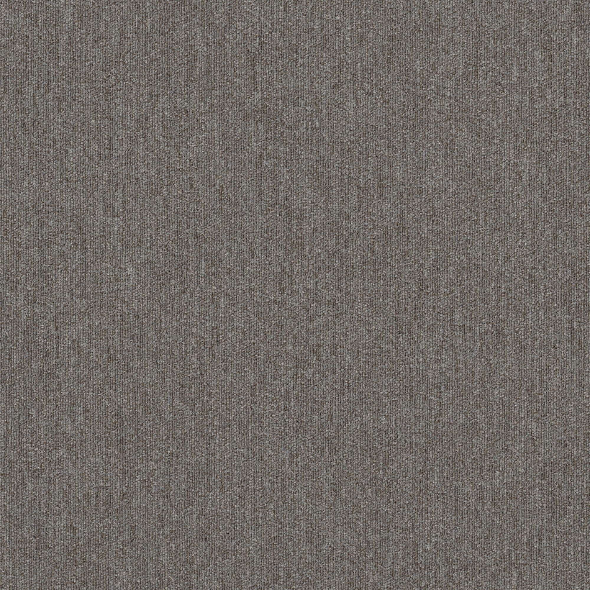 Shaw Philadelphia Commercial Beyond Limits 24" x 24" Glue Down Carpet