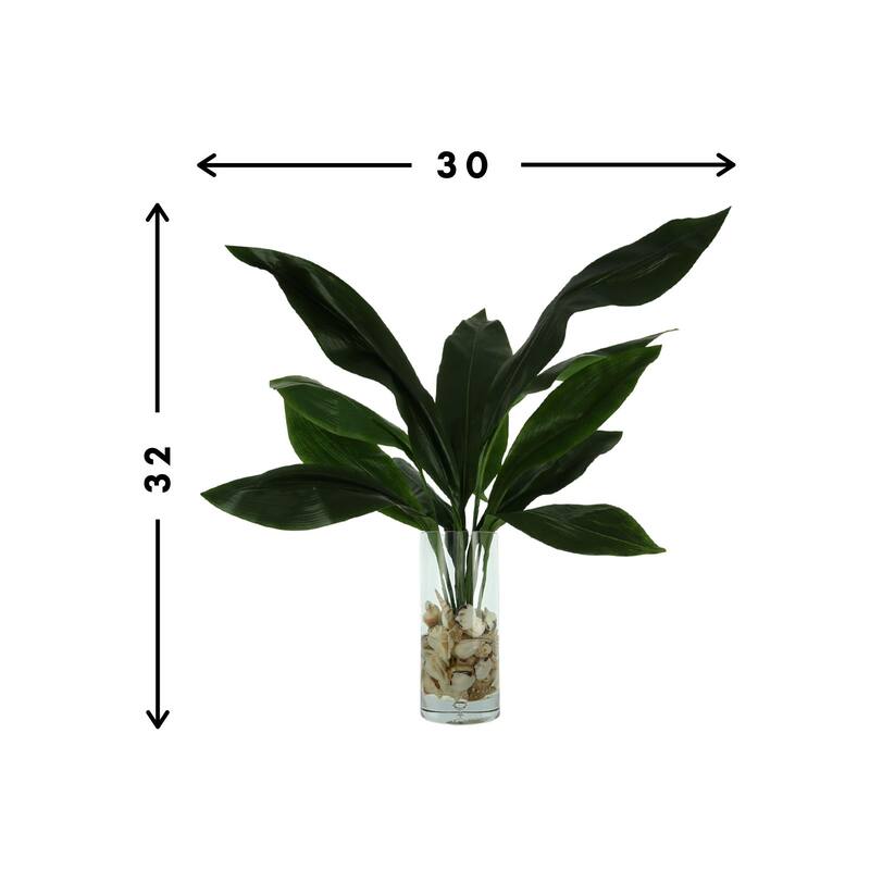 Aspidistra Leaf Arrangement in a Bubble Glass Vase with Shells - Green
