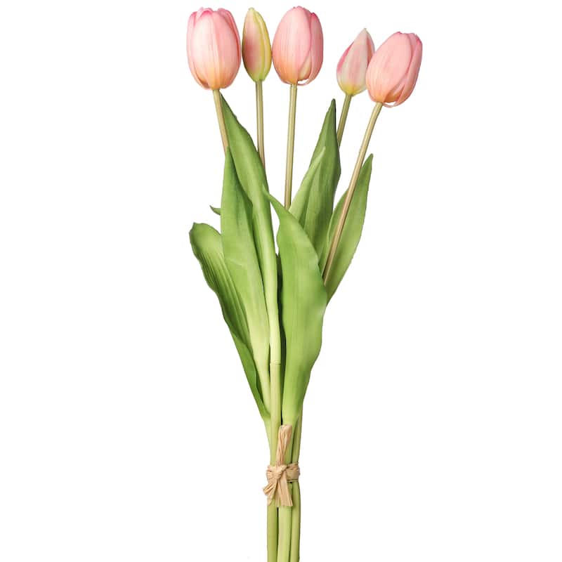 Plastic Soft Touch Tulip Bundlex5 15.25"