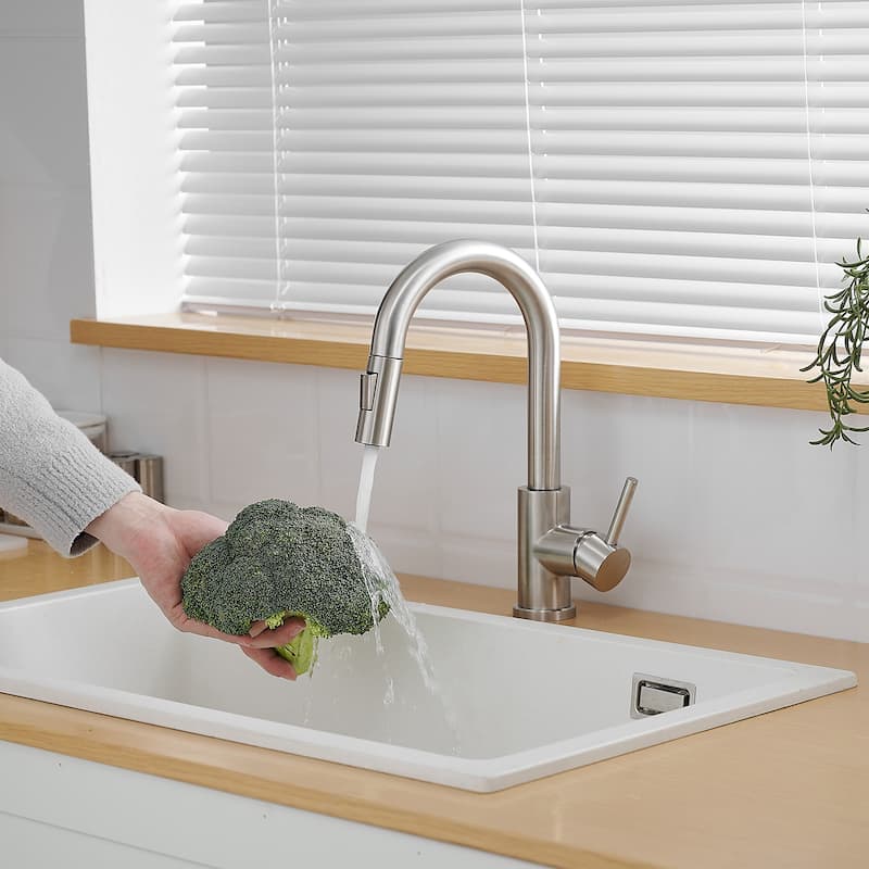 Single-Handle Pull Down Sprayer Kitchen Faucet