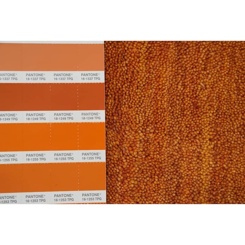 Hand Knotted Oriental 100% Wool Carpet Tribal Animal Pictorial Oranges & Rust Gabbeh Area Rug - 7' 10'' X 8' 3''