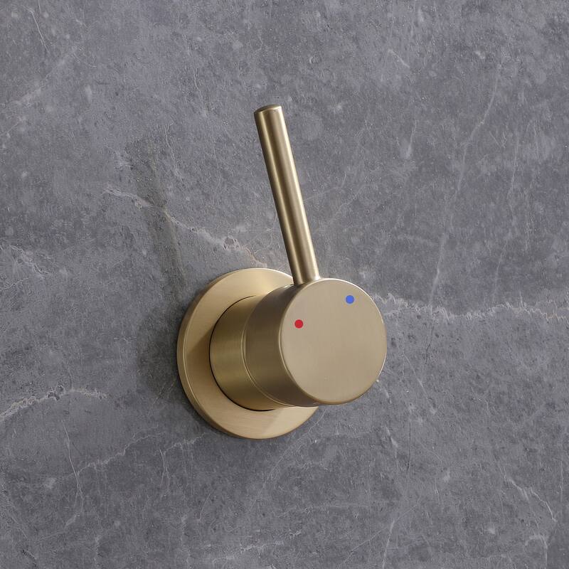Rbrohant Wall Mounted Exposed Rain Combo Set, Shower System with 10" Showerhead and Handheld Showerhead