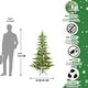 preview thumbnail 15 of 15, PE&PVC Christmas Tree (with Lights)