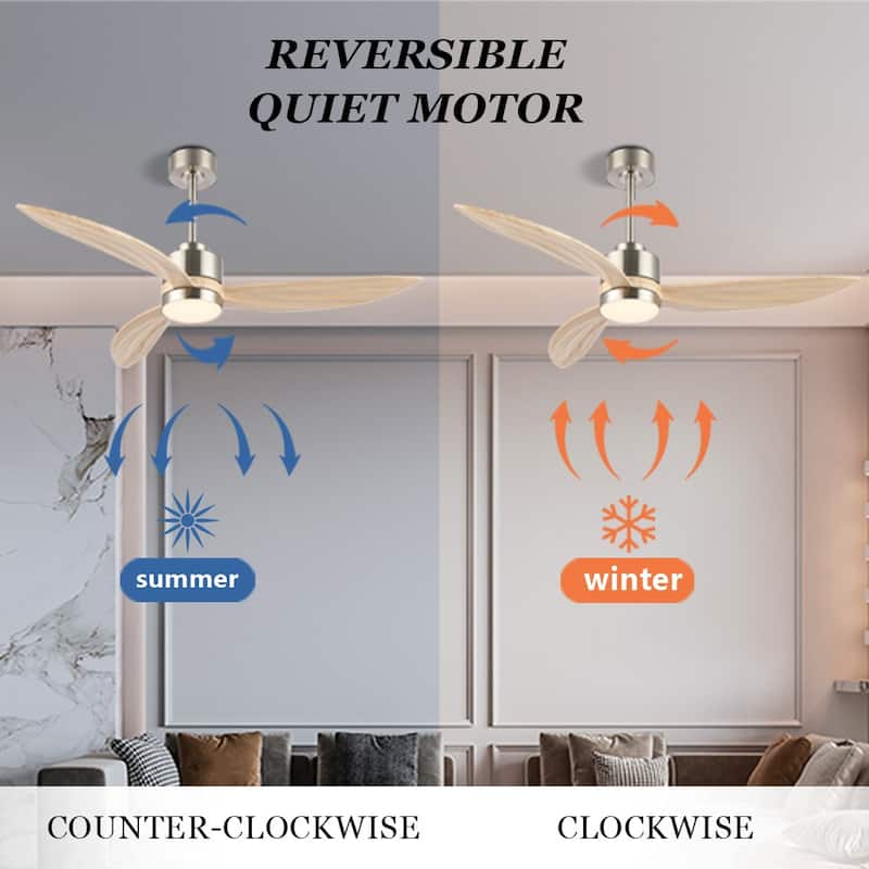 WINGBO 64-inch 3-Blades Indoor Celiing Fan with LED Light, White