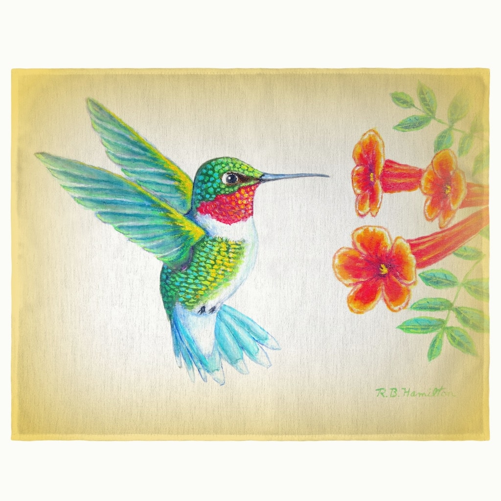Dick's Hummingbird Place Mat Set of 4