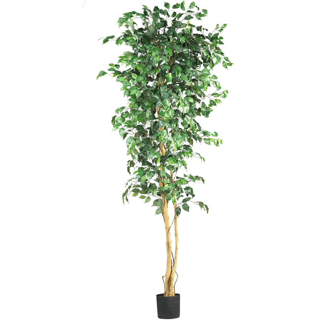 7’ Ficus Silk Artificial Tree in Black Pot