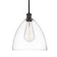 Option Oil Rubbed Bronze / Clear