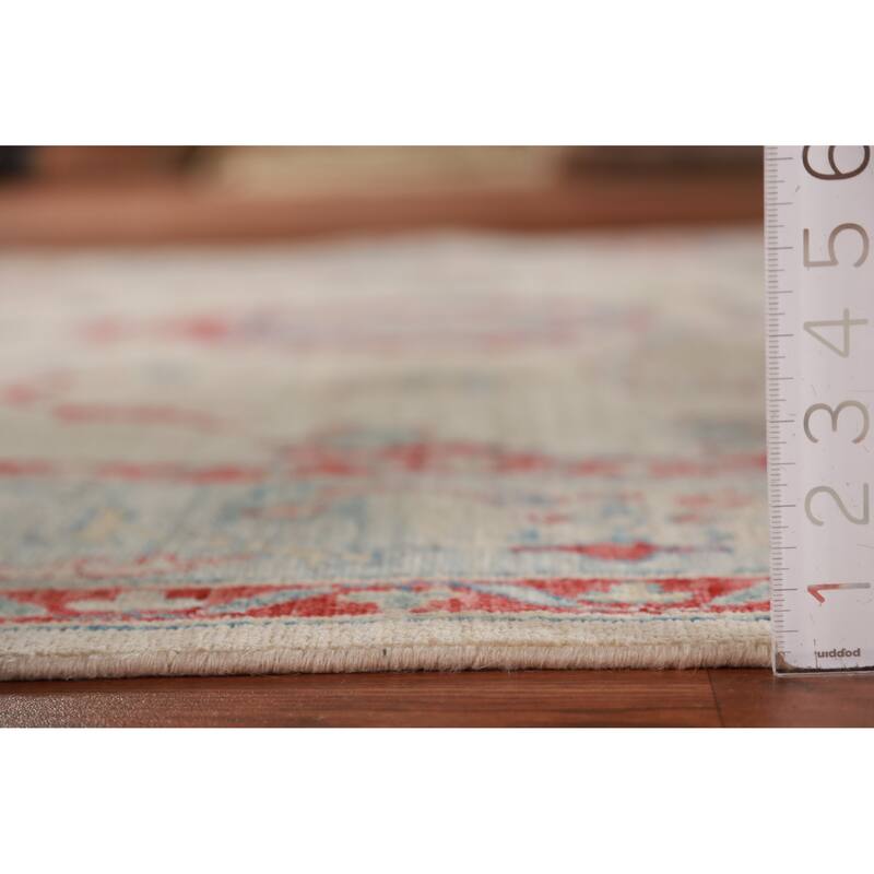 Vegetable Dye Traditional Ziegler Oriental Rug Handmade Wool Carpet - 6'0"x 8'11"