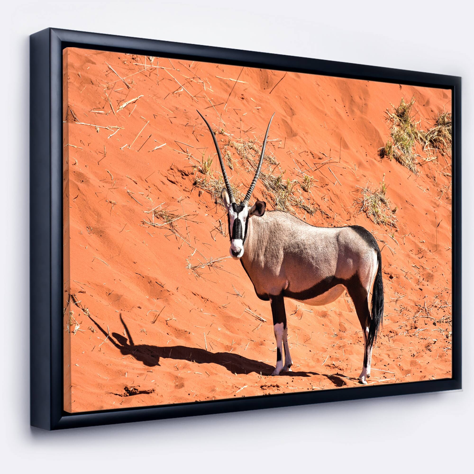 Designart "Large Oryx in Bright Namib Desert" Animal Framed Canvas Art