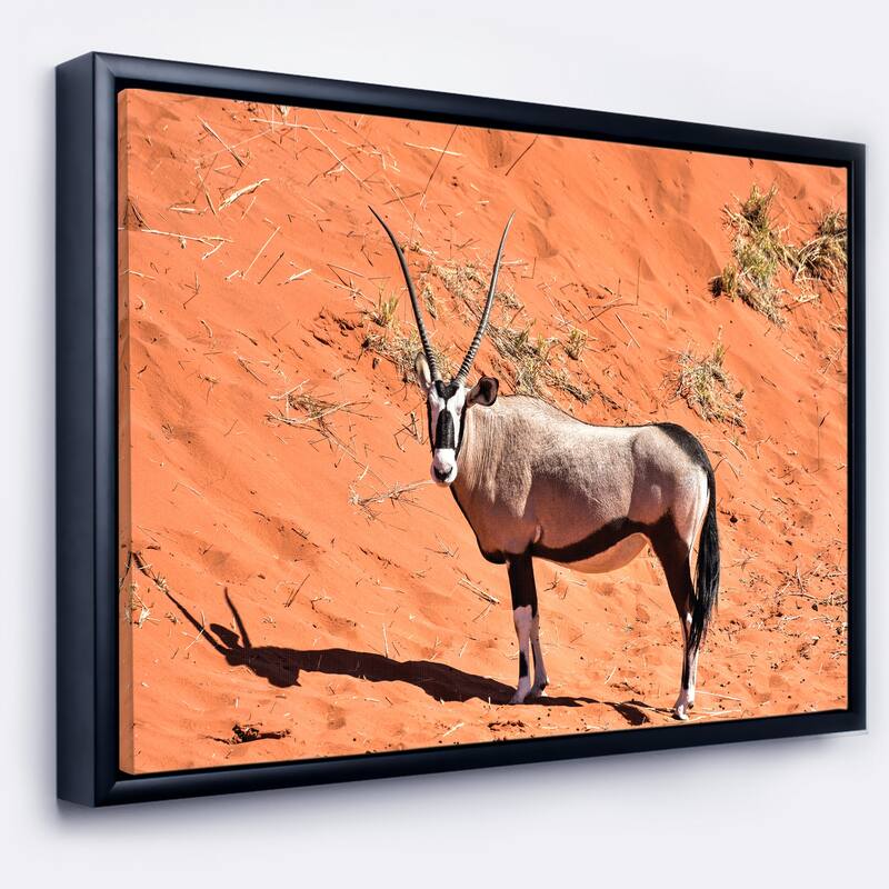 Designart "Large Oryx in Bright Namib Desert" Animal Framed Canvas Art