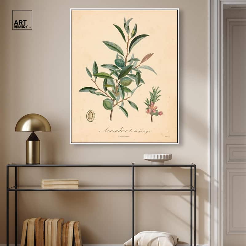 Almond of Georgia I Canvas by Art Remedy