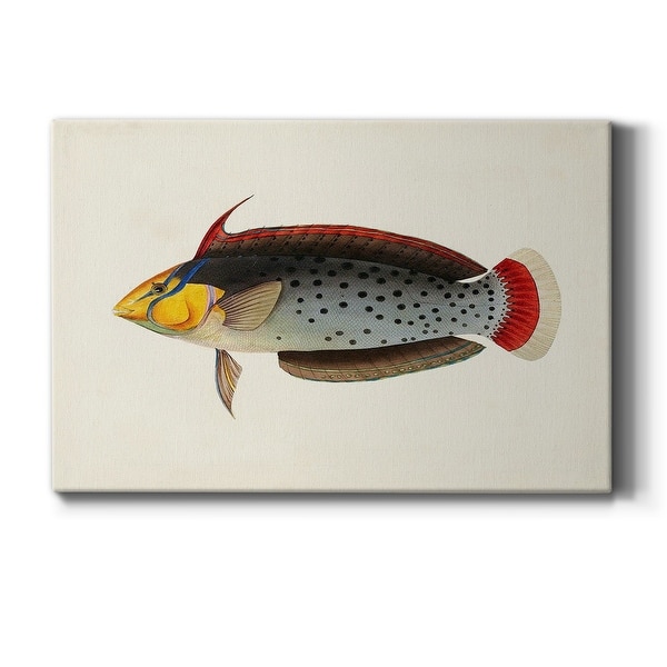slide 2 of 7, Tropical Fish Collection IV Premium Gallery Wrapped Canvas - Ready to Hang 12X18