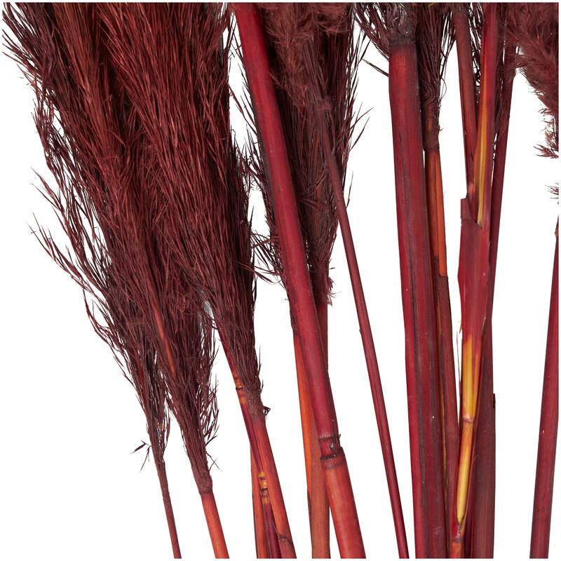 Red Dried Plant Pampas Grass Home Decor Natural Foliage with Long Stems