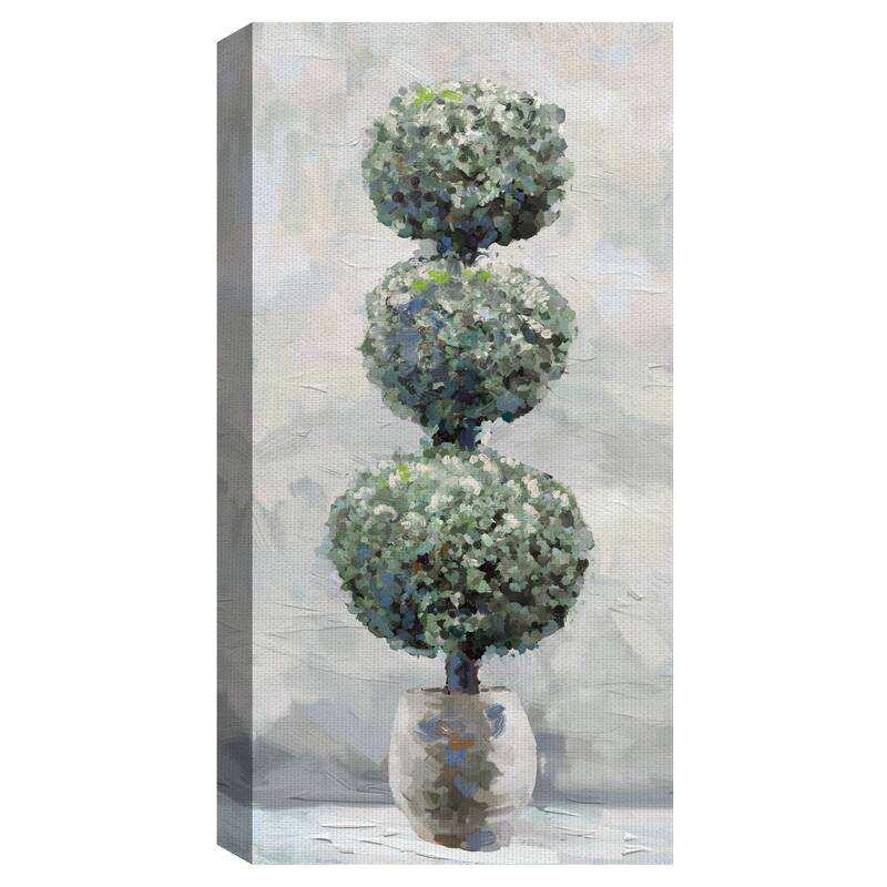Topiary I Canvas Art Print