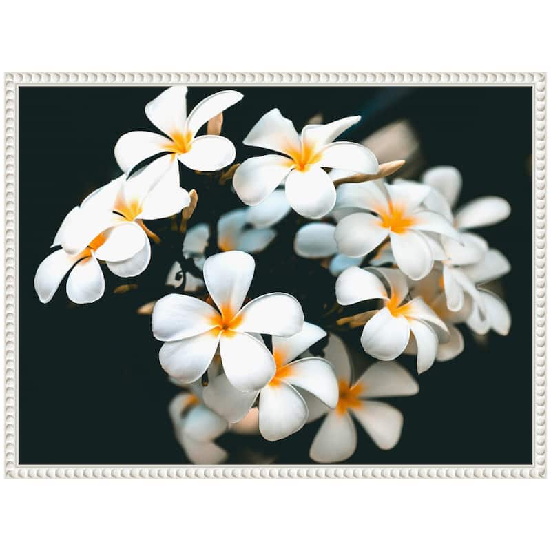 Kate and Laurel Sylvie Tropical Flowers Framed Canvas by Alicia Abla