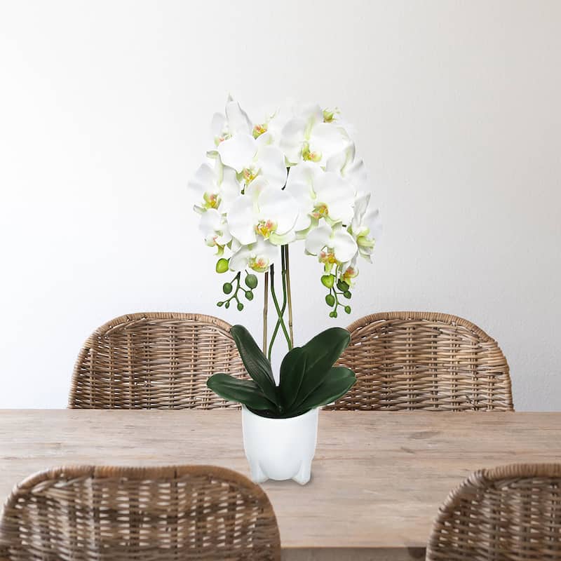Cream White Artificial Phalaenopsis Orchid Flower Arrangement in White Modern Ceramic Pot 25in - 25" H x 10.5" W x 10.5" DP