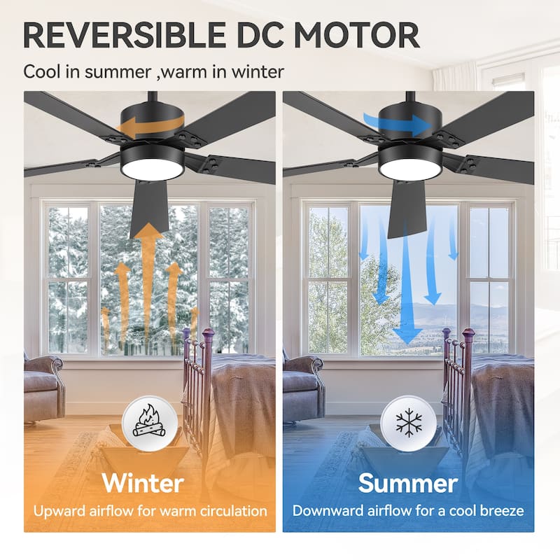 52-Inch Matte Black Ceiling Fan with RGB LED Light and Remote((5 Reversible Blades)