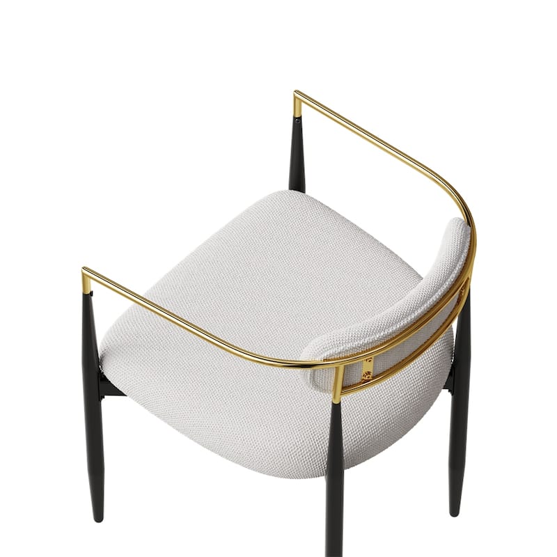 Dining Chairs Set of 2,Modern Dining Chairs,Teddy Velvet Chairs