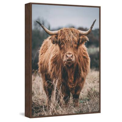 Hairy Coos Floater Framed Print on Canvas
