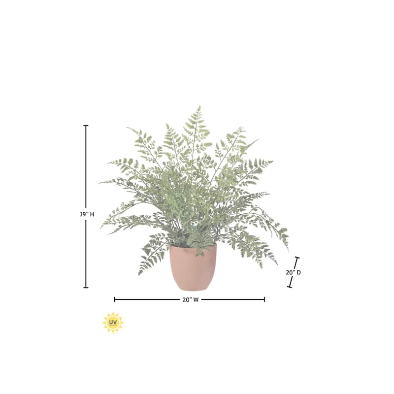 19" Potted UV Maiden Fern